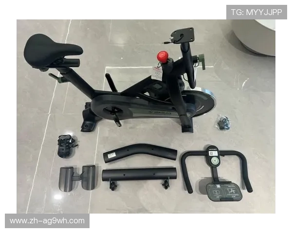 骑自行车健身器材推荐：哪些款式适合家庭健身使用？